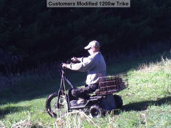 48V-1200W-Adult-Electric-Tricycle-Electric-Trike-with-Carrying-Rack-5