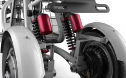 trike 19