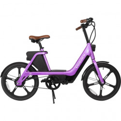 20inch-Urban-mobility-electric-assisted-bicycle-36v350w-rear-wheel-motor-9-6ah-li-ion-lithium-battery.jpg_640x640 (1)