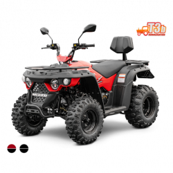 9f304e6338-m210-linhai-new-asp-shop-red