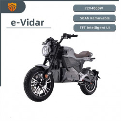 removable-battery-eec-model-e-vidar-4000w52475166715
