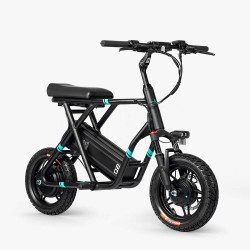 fiido-q2-electric-scooter-1_1000x