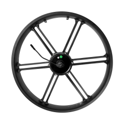 56a85e16a046cb332aca2019e675a194_1000x