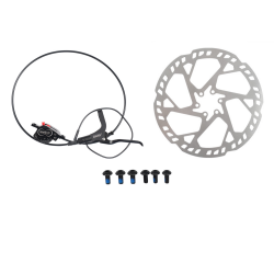 8d4beb36dbe353860e0676b121b0ea3b_1000x