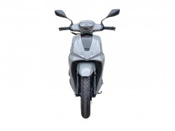 58993-7_tumoto-coral